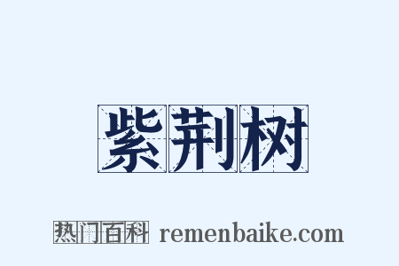 紫荆树是什么意思的图片